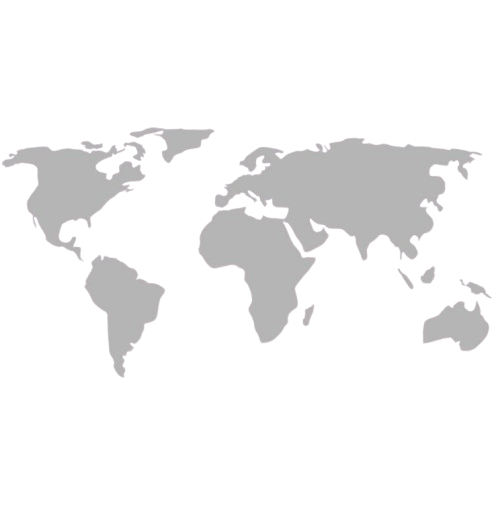World Map Icon